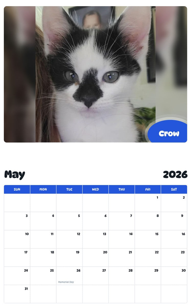 2026 - 2027 Crow - Pawidols Pet Calendar