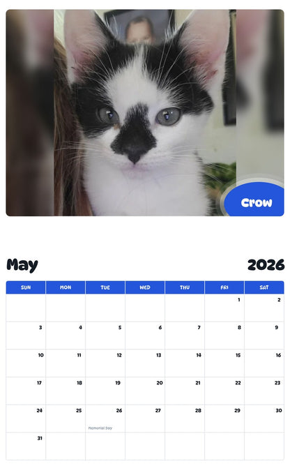 2026 - 2027 Crow - Pawidols Pet Calendar