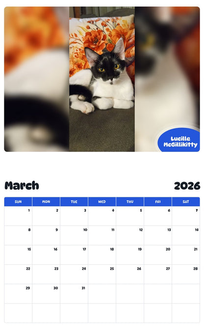 November 2025 - October 2026 Lucille McGillikitty - Pawidols Pet Calendar