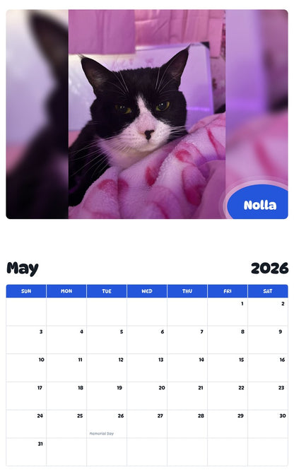 2026 - 2027 Nolla - Pawidols Pet Calendar