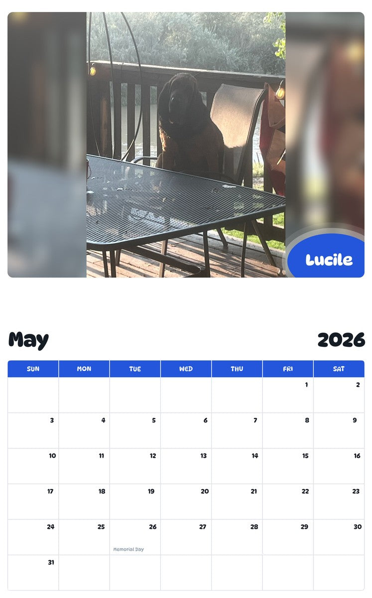 2026 - 2027 Lucile - Pawidols Pet Calendar
