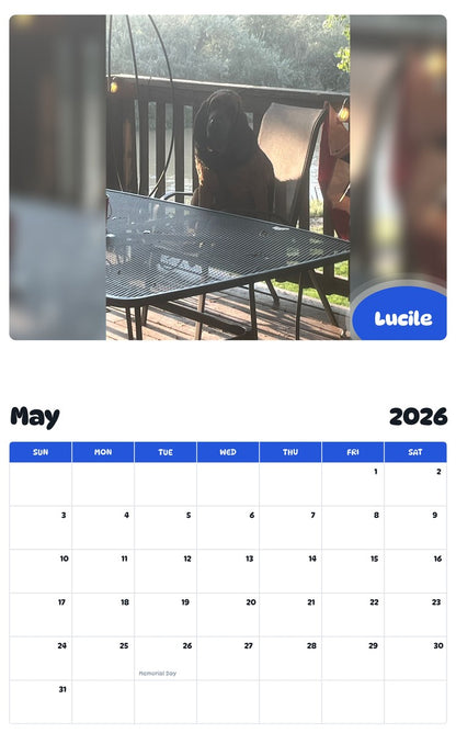 2026 - 2027 Lucile - Pawidols Pet Calendar