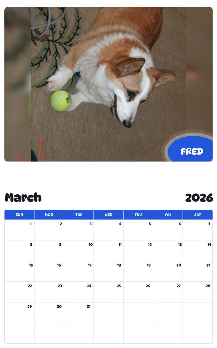November 2025 - October 2026 FRED - Pawidols Pet Calendar