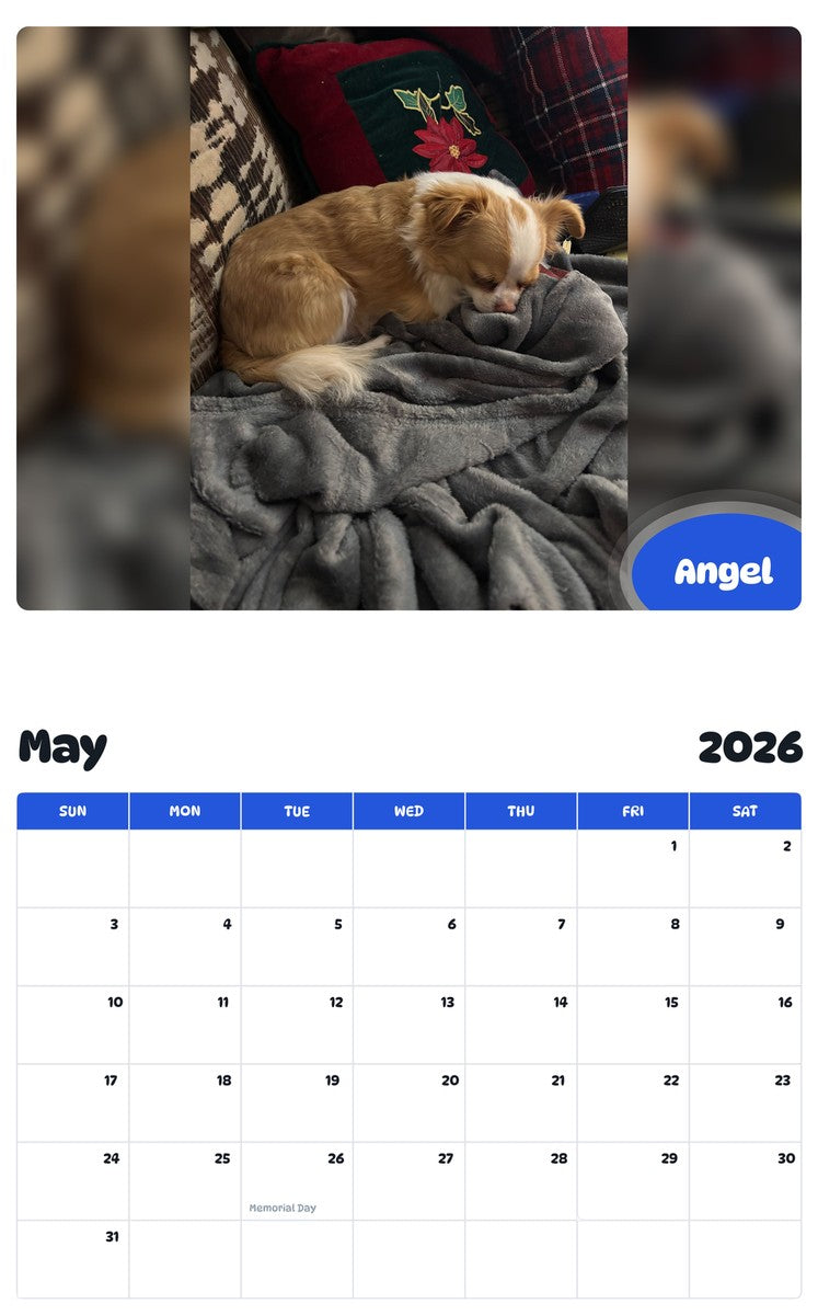 2026 - 2027 Angel - Pawidols Pet Calendar