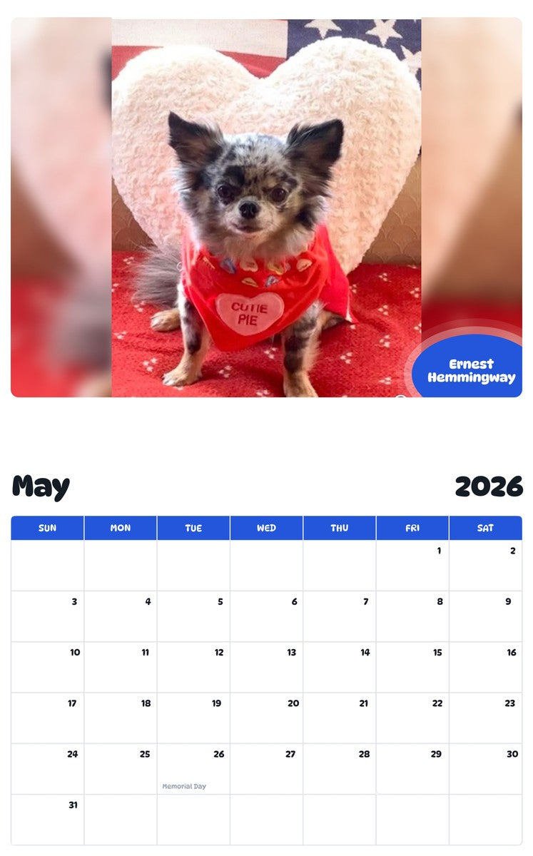 2026 - 2027 Ernest Hemmingway - Pawidols Pet Calendar