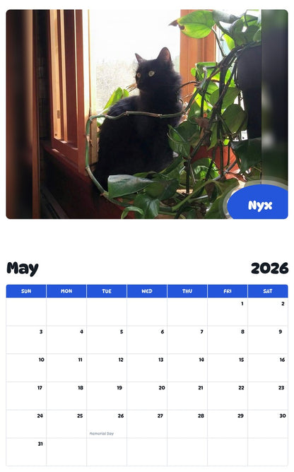 2026 - 2027 Nyx - Pawidols Pet Calendar