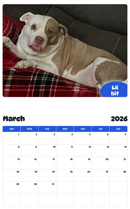 November 2025 - October 2026 Lil bit - Pawidols Pet Calendar