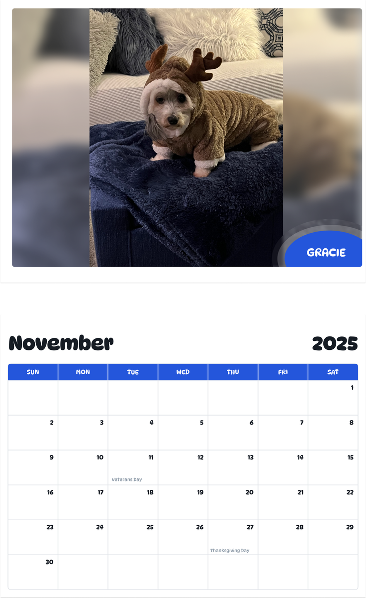 July 2025 - June 2026 Gracie ( she’s a Havanese ) - Pawidols Pet Calendar