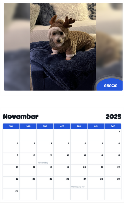 July 2025 - June 2026 Gracie ( she’s a Havanese ) - Pawidols Pet Calendar