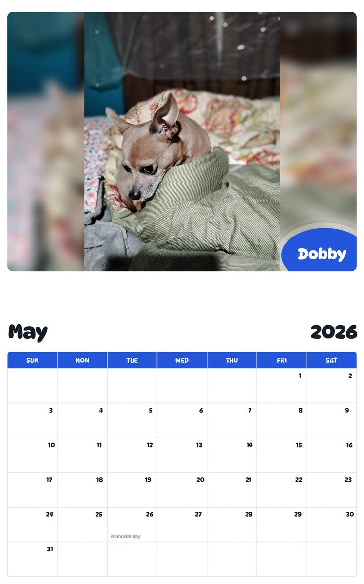 2026 - 2027 Dobby - Pawidols Pet Calendar