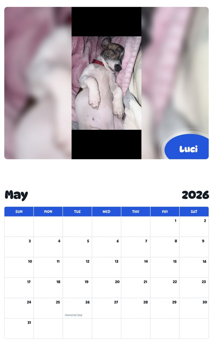2026 - 2027 Luci - Pawidols Pet Calendar