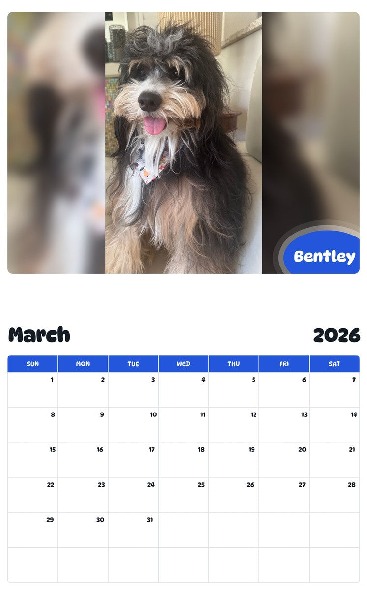 November 2025 - October 2026 Bentley - Pawidols Pet Calendar