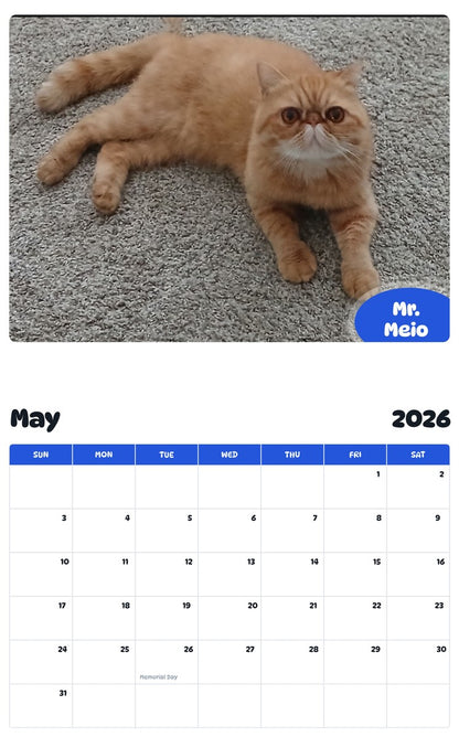 2026 - 2027 Mr. Meio - Pawidols Pet Calendar
