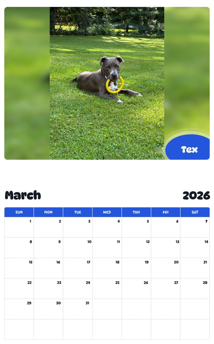November 2025 - October 2026 Tex - Pawidols Pet Calendar