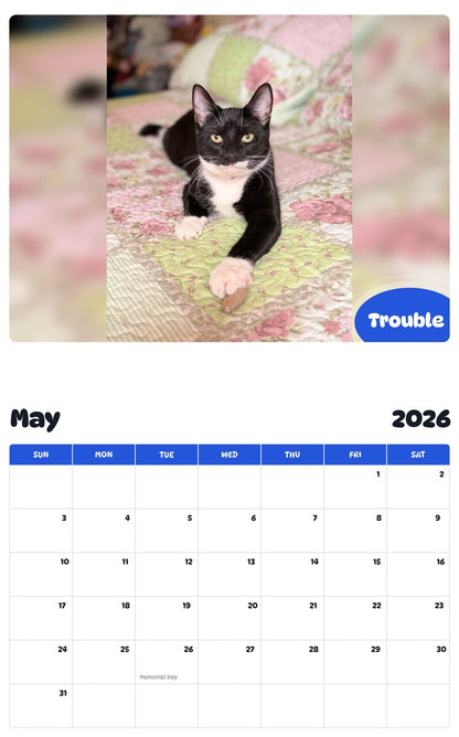 2026 - 2027 Trouble - Pawidols Pet Calendar