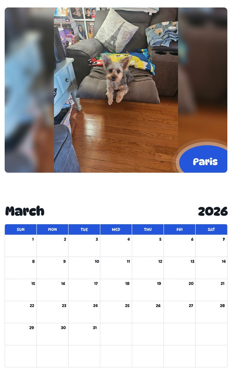November 2025 - October 2026 Paris - Pawidols Pet Calendar