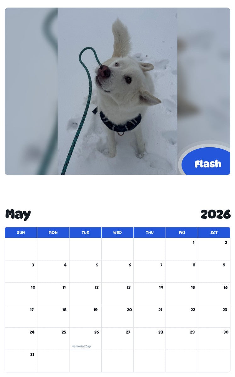 2026 - 2027 Flash - Pawidols Pet Calendar
