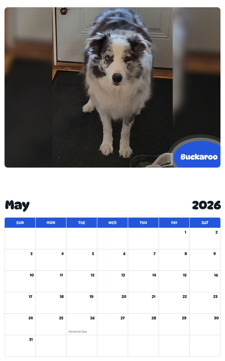 2026 - 2027 Buckaroo - Pawidols Pet Calendar