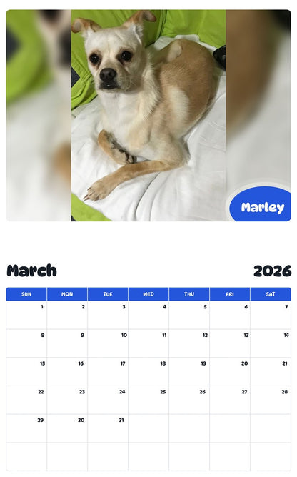 November 2025 - October 2026 Marley - Pawidols Pet Calendar