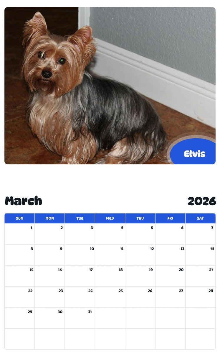 November 2025 - October 2026 Elvis - Pawidols Pet Calendar