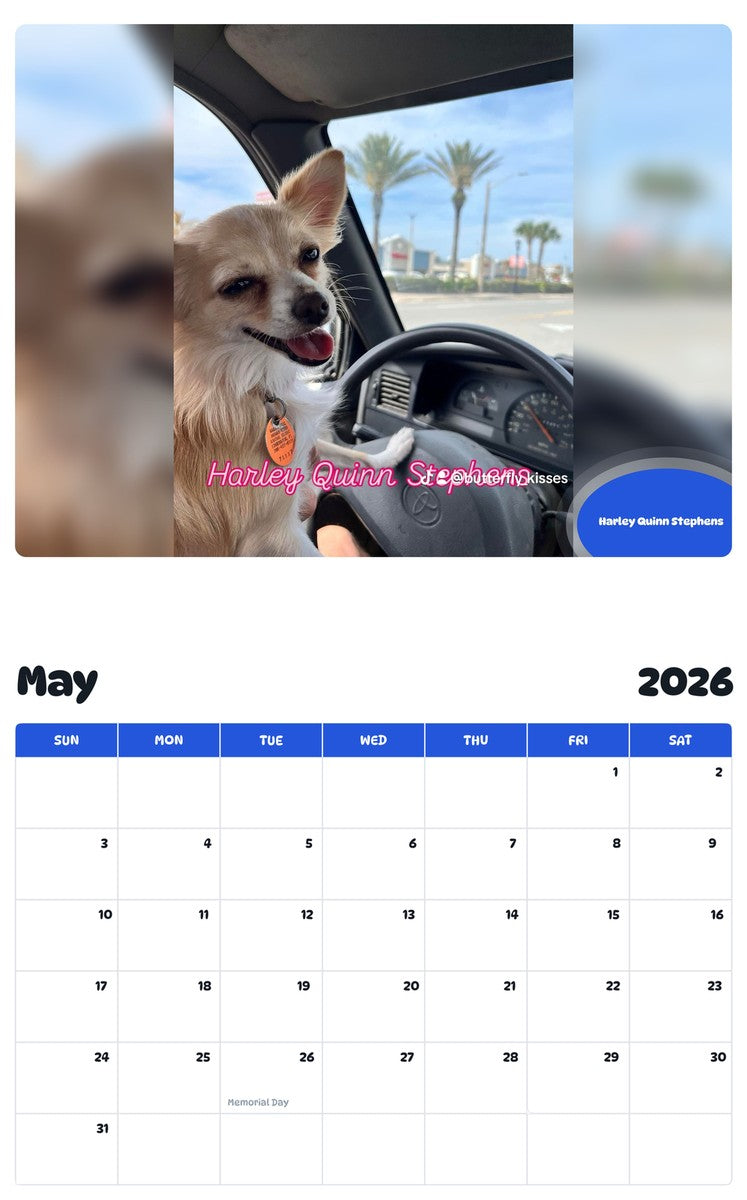 2026 - 2027 Harley Quinn Stephens - Pawidols Pet Calendar