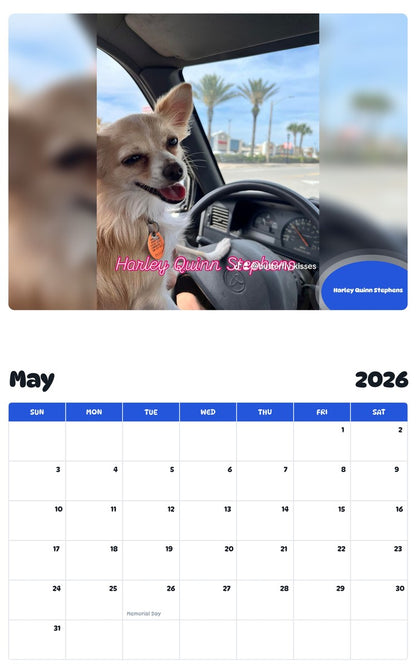2026 - 2027 Harley Quinn Stephens - Pawidols Pet Calendar