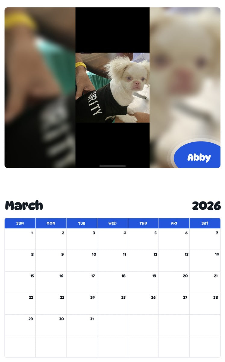 November 2025 - October 2026 Abby - Pawidols Pet Calendar
