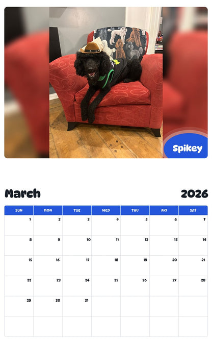 November 2025 - October 2026 Spikey - Pawidols Pet Calendar