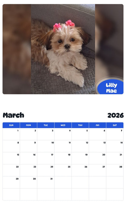 November 2025 - October 2026 Lilly Mae - Pawidols Pet Calendar