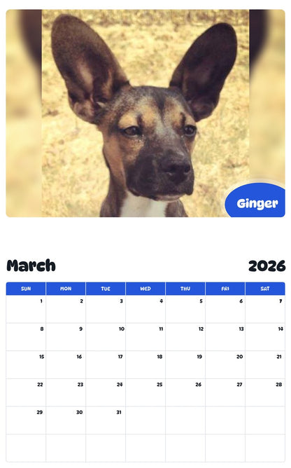 November 2025 - October 2026 Ginger - Pawidols Pet Calendar