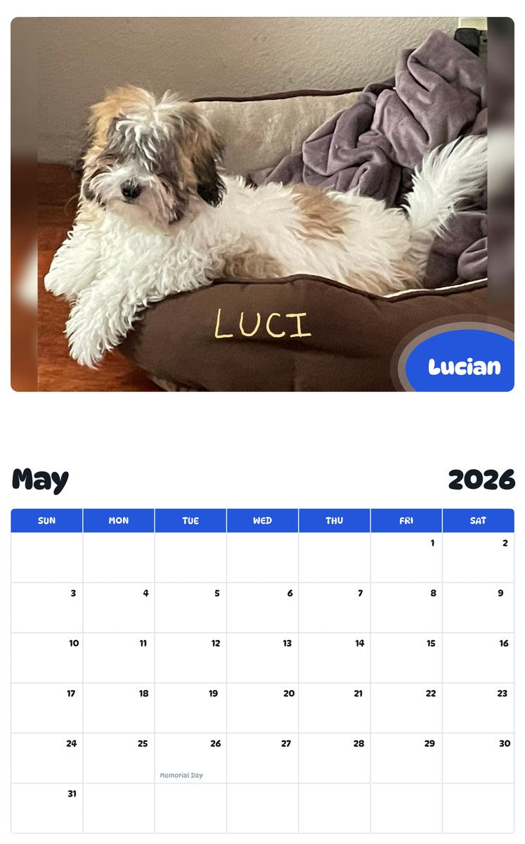 2026 - 2027 Lucian - Pawidols Pet Calendar