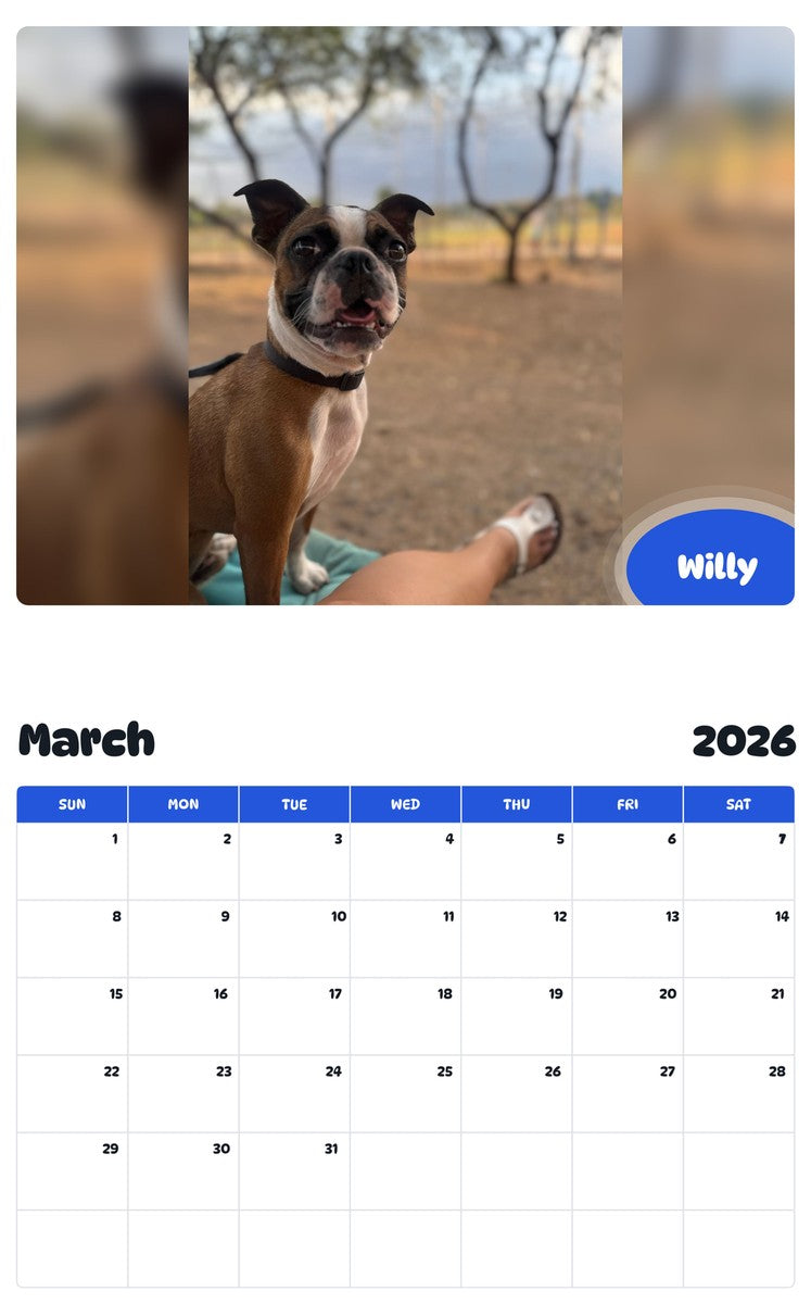 November 2025 - October 2026 Willy - Pawidols Pet Calendar