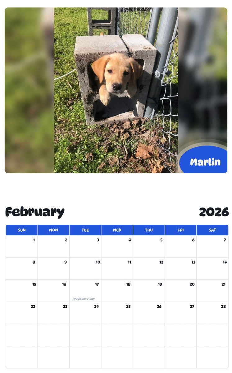 November 2025 - October 2026 Marlin - Pawidols Pet Calendar
