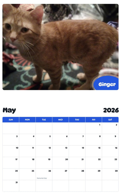 2026 - 2027 Ginger - Pawidols Pet Calendar