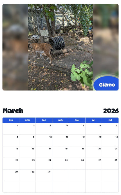 November 2025 - October 2026 Gizmo - Pawidols Pet Calendar