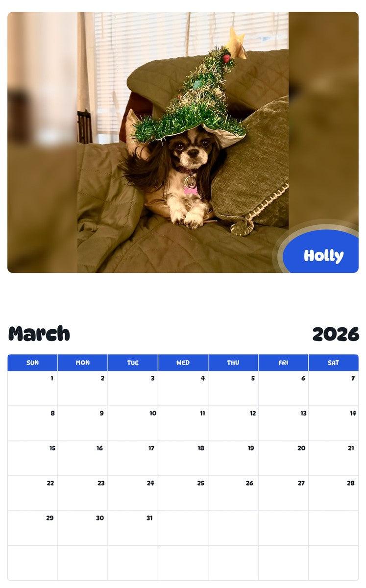 November 2025 - October 2026 Holly - Pawidols Pet Calendar