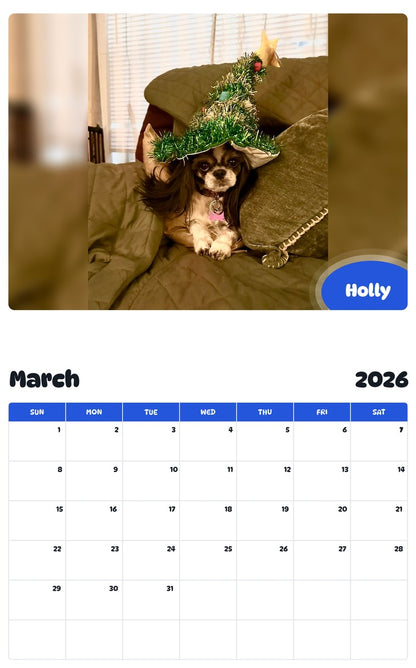November 2025 - October 2026 Holly - Pawidols Pet Calendar