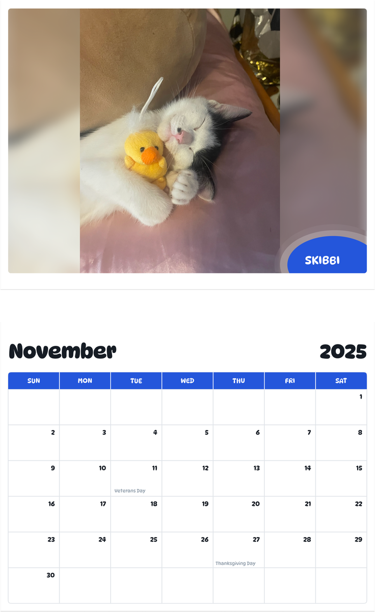 July 2025 - June 2026 Skibbi - Pawidols Pet Calendar