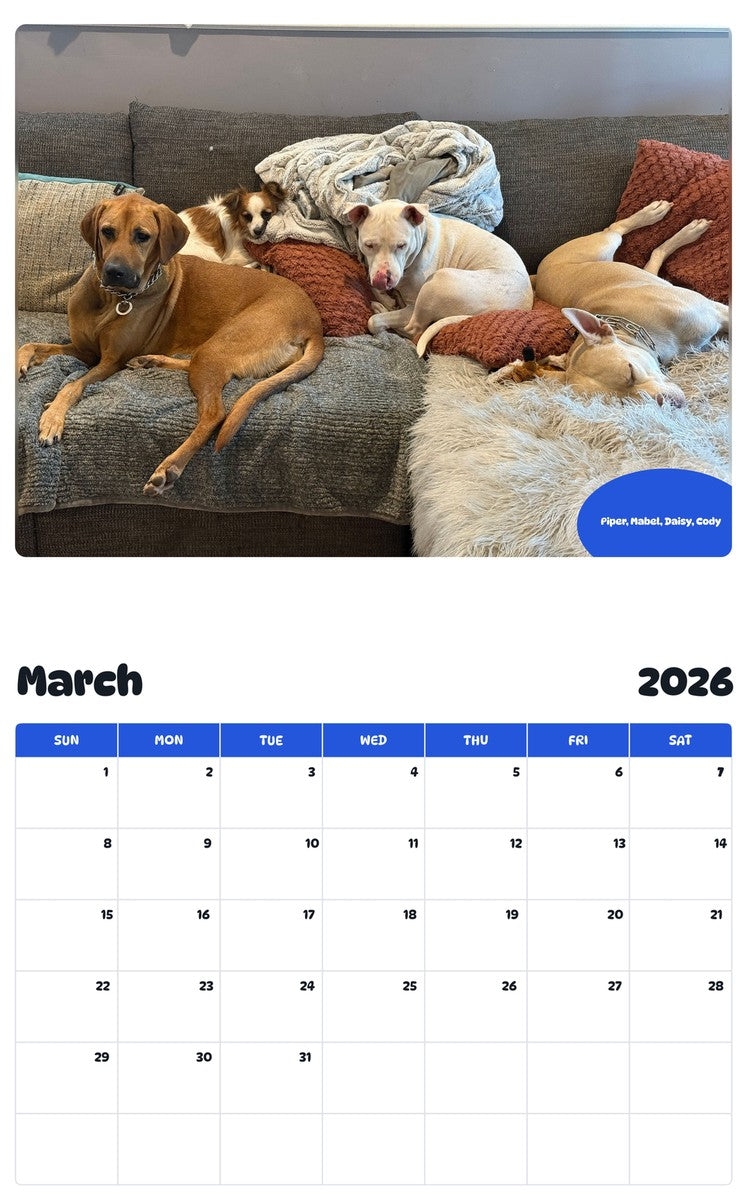 November 2025 - October 2026 Piper, Mabel, Daisy, Cody - Pawidols Pet Calendar