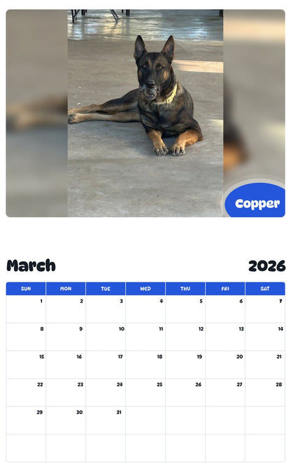 November 2025 - October 2026 Copper - Pawidols Pet Calendar