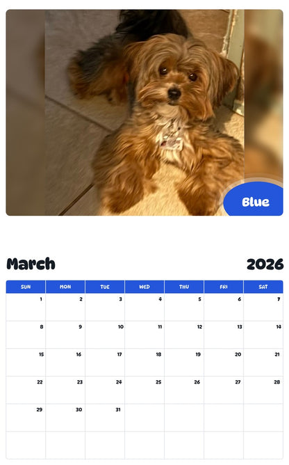 November 2025 - October 2026 Blue - Pawidols Pet Calendar