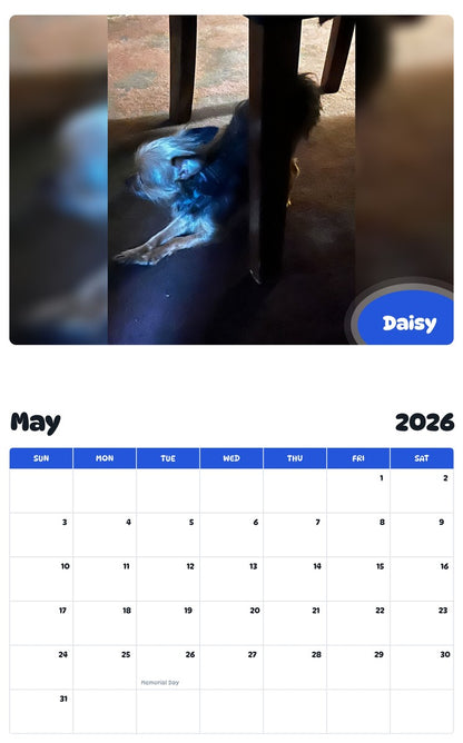 2026 - 2027 Daisy - Pawidols Pet Calendar