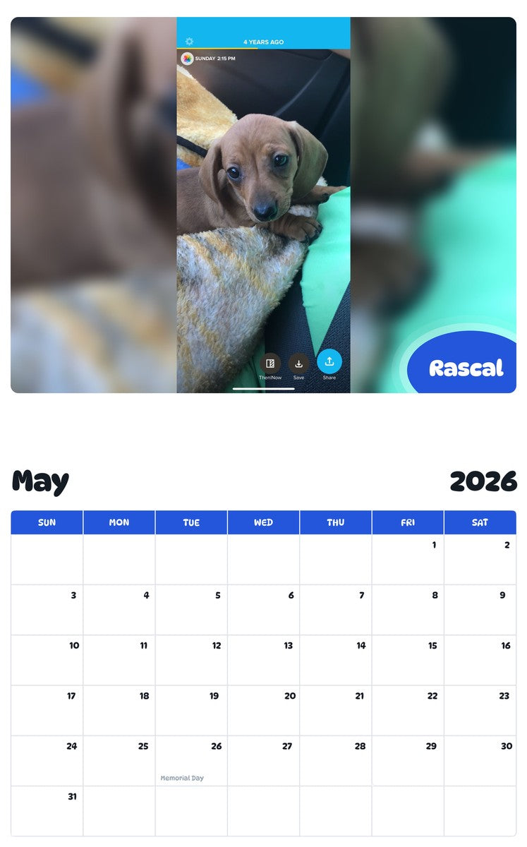 2026 - 2027 Rascal - Pawidols Pet Calendar