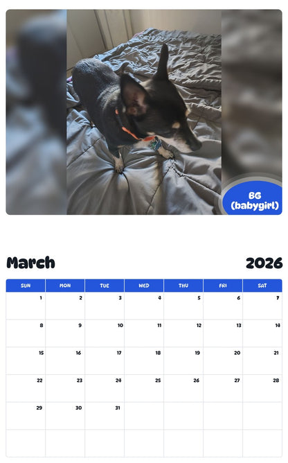 November 2025 - October 2026 BG (babygirl) - Pawidols Pet Calendar