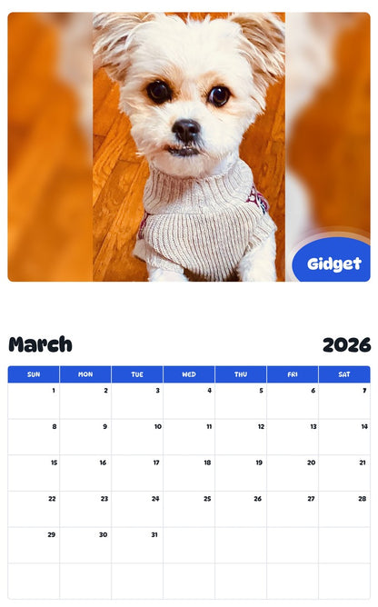 November 2025 - October 2026 Gidget - Pawidols Pet Calendar