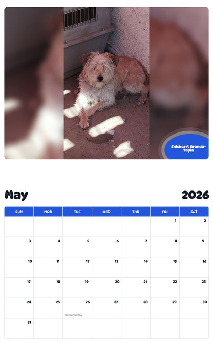 2026 - 2027 Snicker P. Aranda-Tapia - Pawidols Pet Calendar