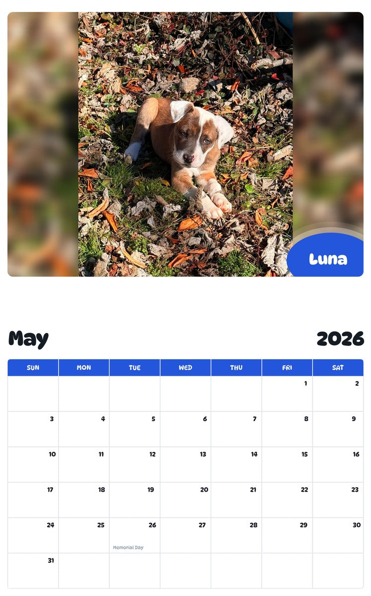 2026 - 2027 Luna - Pawidols Pet Calendar