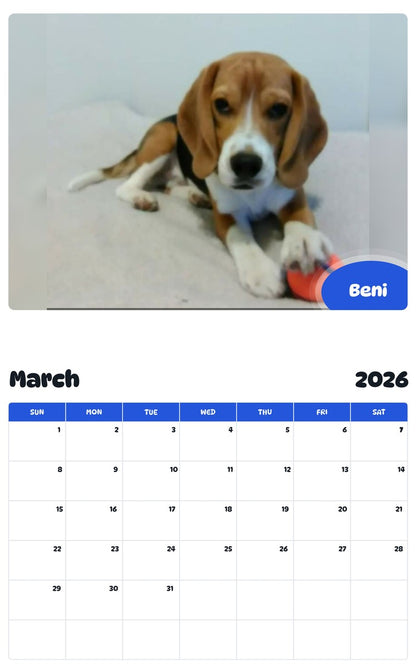 November 2025 - October 2026 Beni - Pawidols Pet Calendar