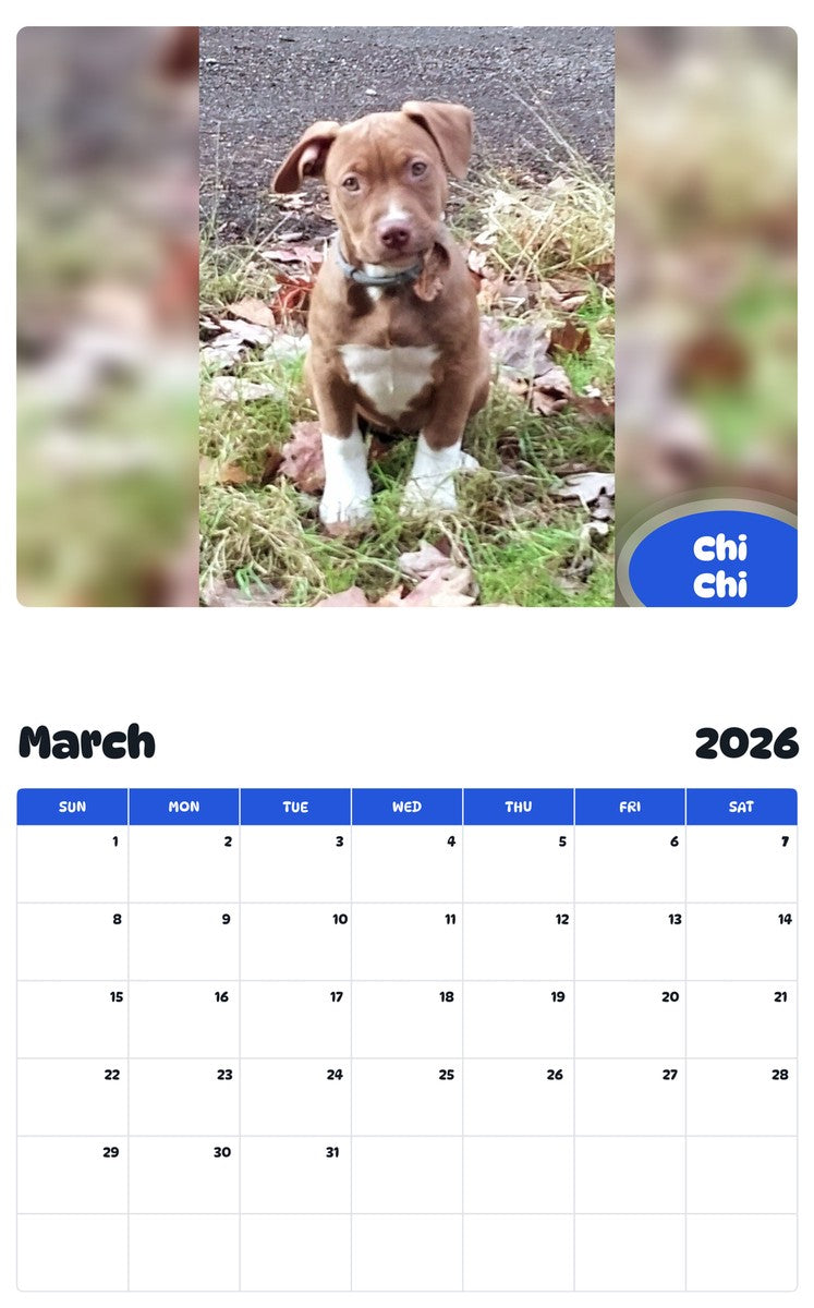 November 2025 - October 2026 Chi Chi - Pawidols Pet Calendar