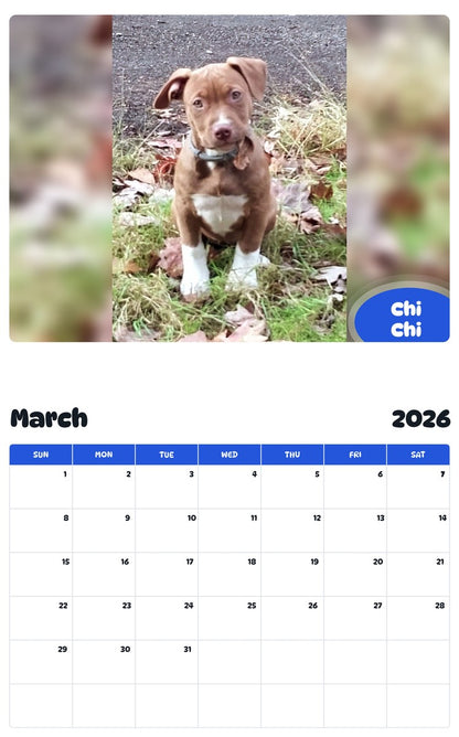 November 2025 - October 2026 Chi Chi - Pawidols Pet Calendar